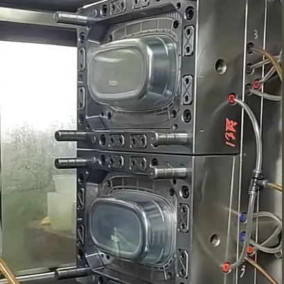 Trial molding photo for Packaging Takeaway Container Mold