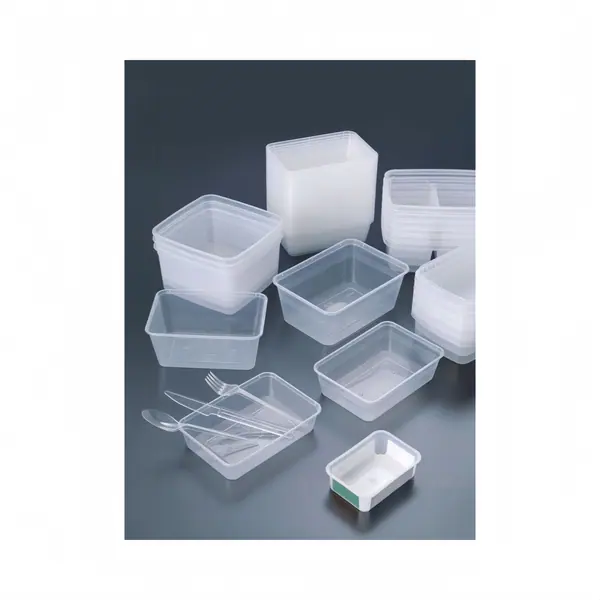 Finished takeaway container sample used for packaging mold proof